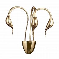 бра lightstar cigno collo 751632 в Стерлитамаке