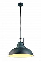 подвесной светильник arte lamp martin a5213sp-1bg в Стерлитамаке