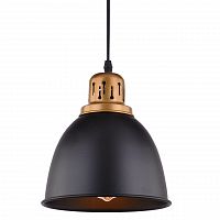 подвесной светильник arte lamp eurica a4245sp-1bk в Стерлитамаке