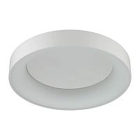 потолочный светодиодный светильник odeon light sole 4062/50cl в Стерлитамаке